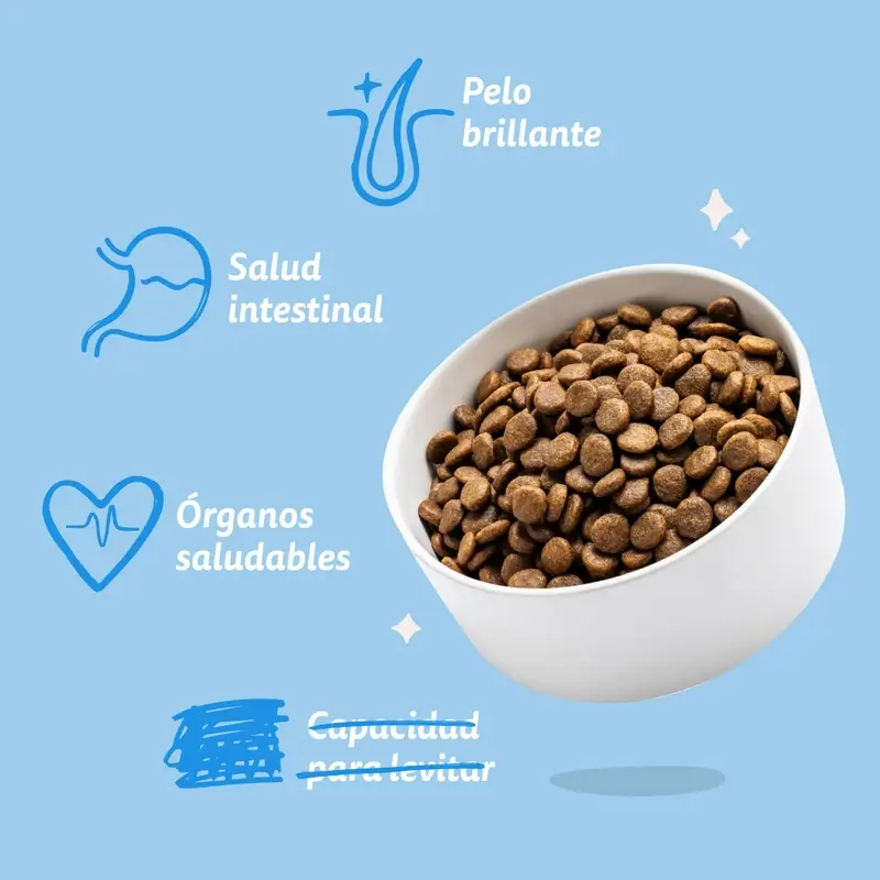 Edgard & Cooper Miniature Adult Dog Food With Fresh Salmon , 0.7 kg - Image 9