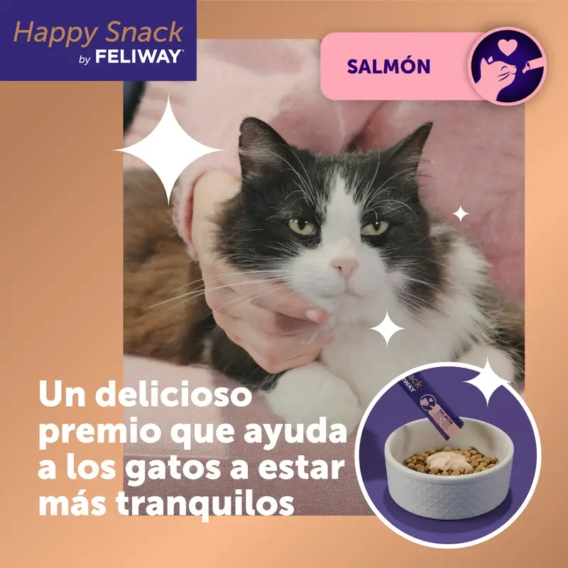 Feliway Happy Snack Salmon Flavour, 24 sachets - Image 2