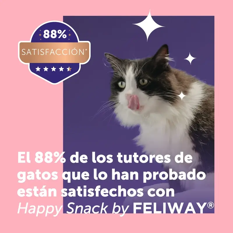 Feliway Happy Snack Salmon Flavour, 24 sachets - Image 4