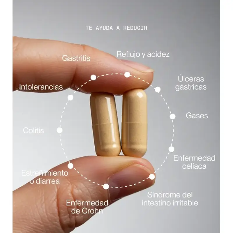 Superlativa Digest On , 60 capsules - Image 4