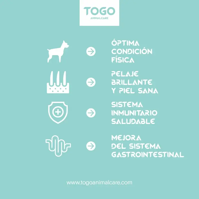 Togo Pork Medallion Snacks, 60 grams - Image 3