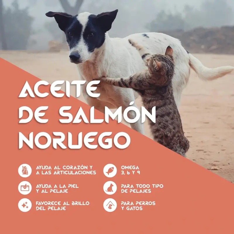 Togo Salmon Oil, 250 ml - Image 3