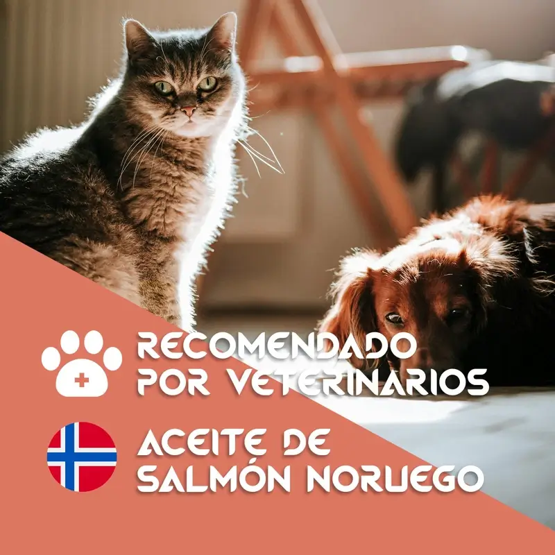 Togo Salmon Oil, 250 ml - Image 7